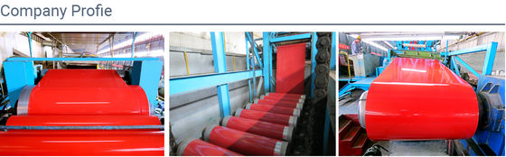 Custom Prepainted Steel Coil 0.12mm-6.0mm Prepainted Galvanized Steel Sheet